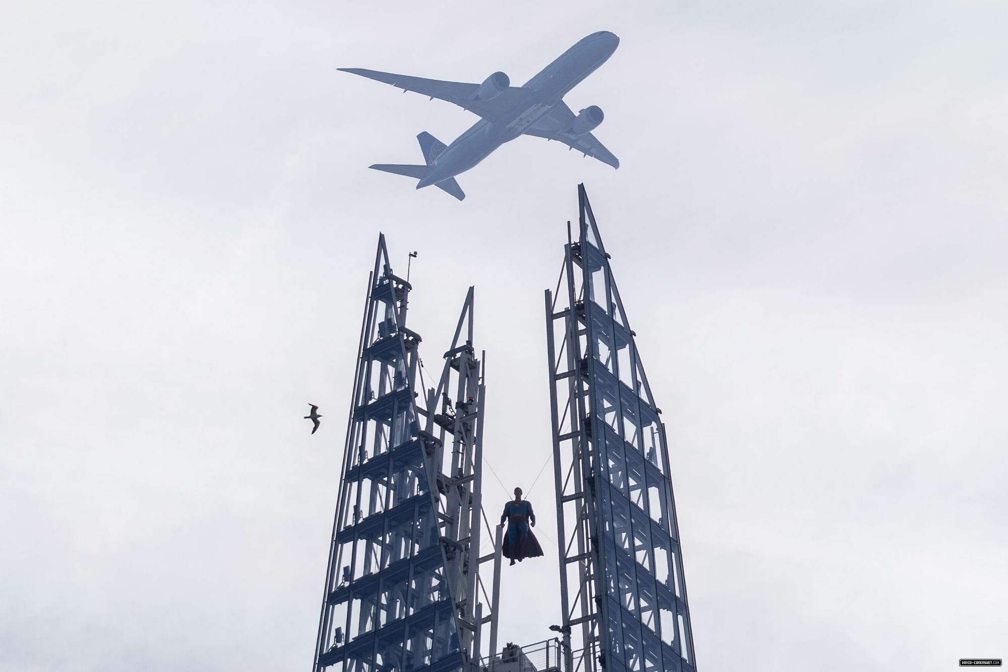103.jpg